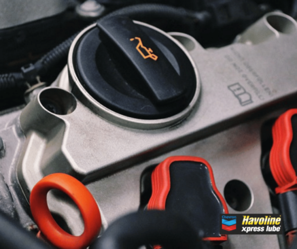 How Often Should You Change Your Oil?