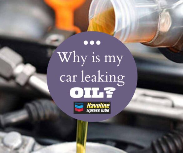 why is my car leaking oil